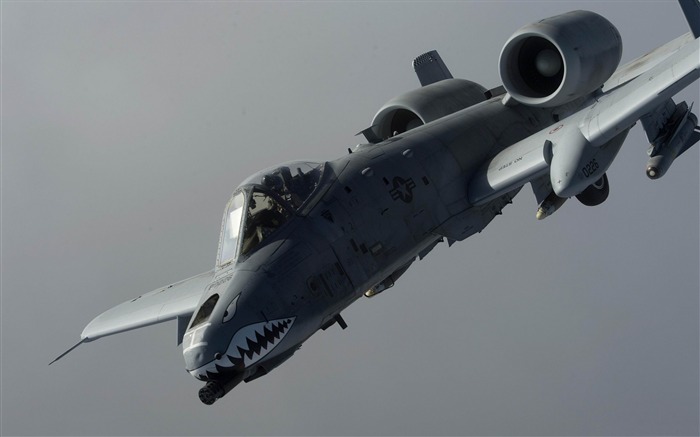 A 10 thunderbolt ii-military HD Wallpaper Views:11067 Date:2014/10/24 10:20:56