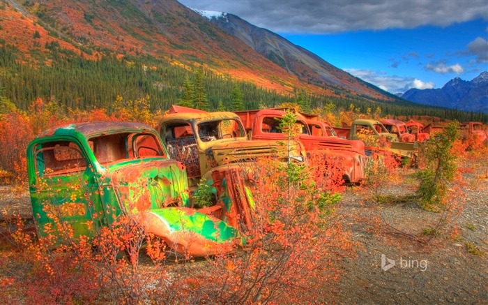 Abandonado pie delantero-fondo de pantalla de tema Bing Vistas:8873