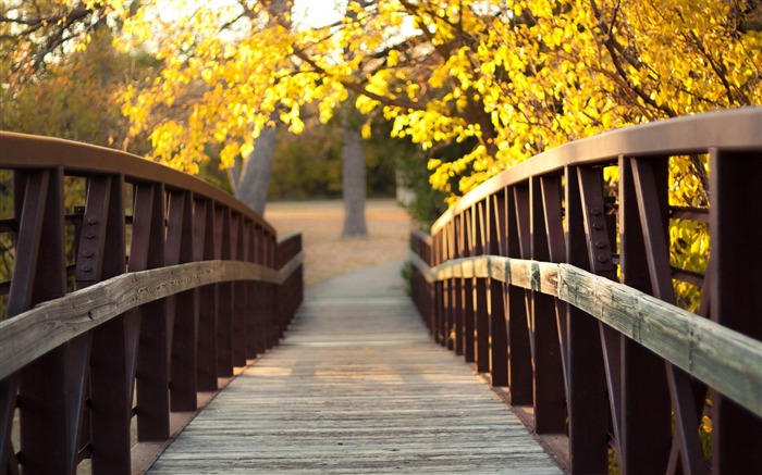 Autumn Bridge-Scenery fondo de pantalla HD Vistas:14216