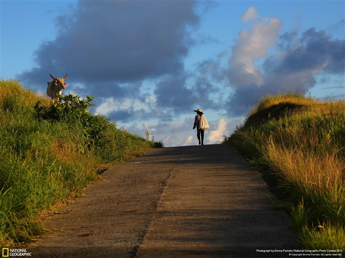 Batanes Sunset-National Geographic Wallpaper Visualizações:11823