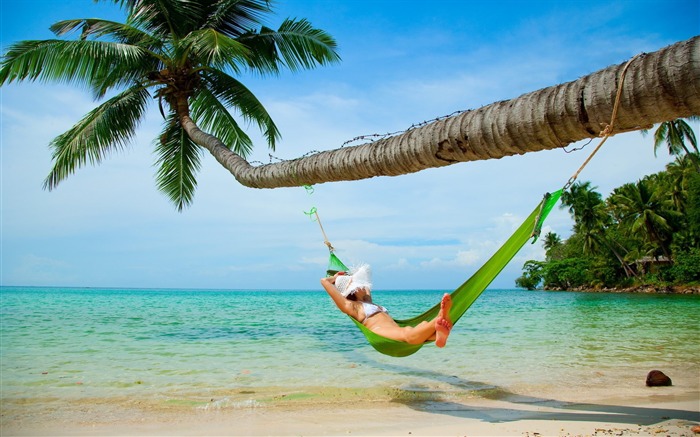 Beach Hammock-Scenery fondo de pantalla HD Vistas:11332