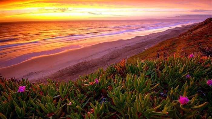 Shore Beach Sunset-HD Fonds d'écran Vues:9898