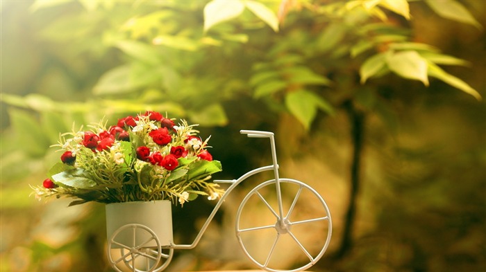 Bicycle Flower Basket-HD Papel pintado con pantalla grande Vistas:12674