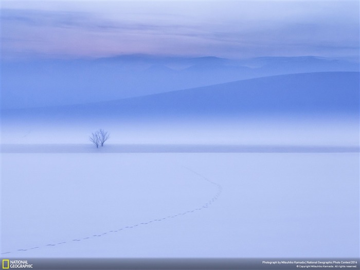 Biei Hokkaido JAPÓN-National Geographic fondo de pantalla Vistas:15273