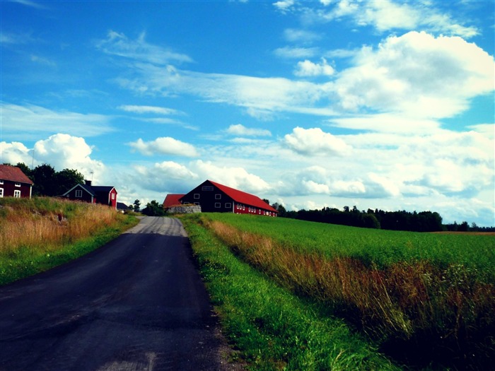 campagne-Paysage HD fonds d'écran Vues:13841