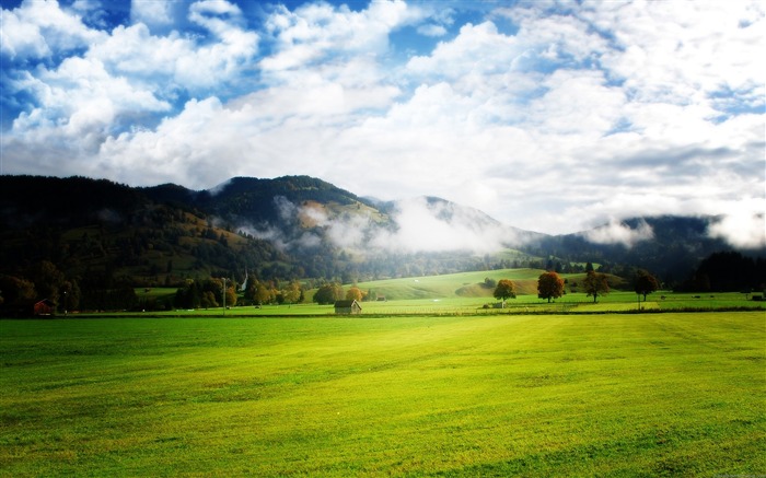 Green Nature-Scenery Fondo de escritorio HD Vistas:13265