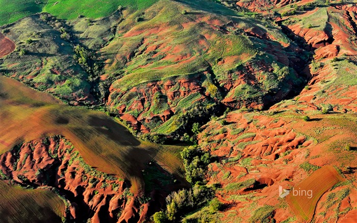 Les collines vertes-Bing fond d'écran Vues:7903