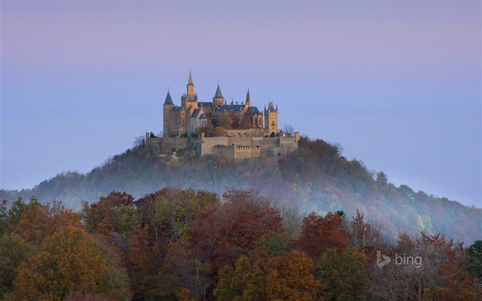 Jungle château-Bing fond d'écran Vues:11793