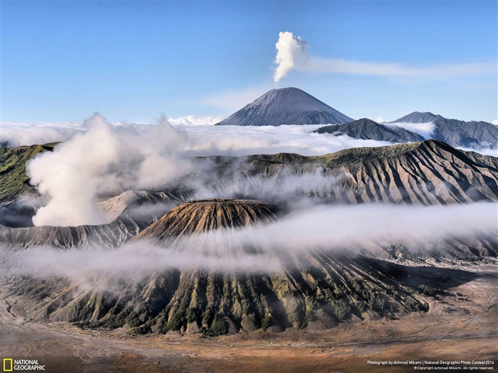 Misty morning-National Geographic fondo de pantalla Vistas:9421