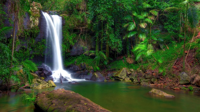 Rainforest Waterfall-Scenery HD Wallpapers Vistas:13595