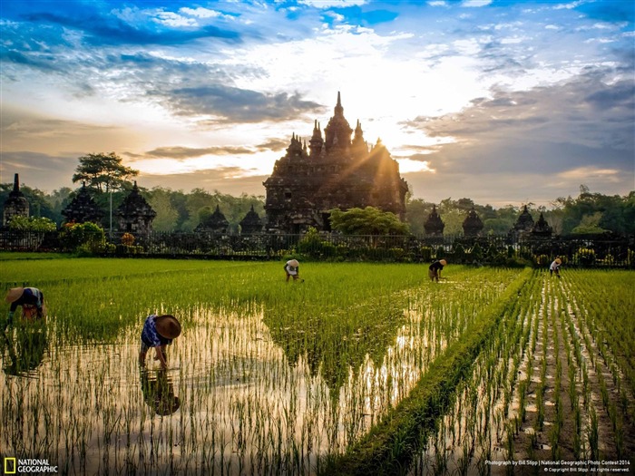 Fondo de Pantalla del Templo Plaosan Sunrise-National Geographic Vistas:9874