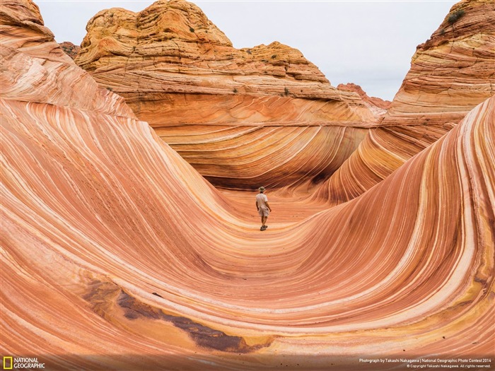 The Wave-National Geographic Wallpaper Vistas:8834