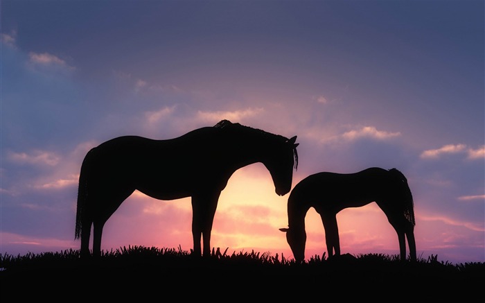 Caballos puesta de sol-Papel pintado de alta calidad Vistas:12242