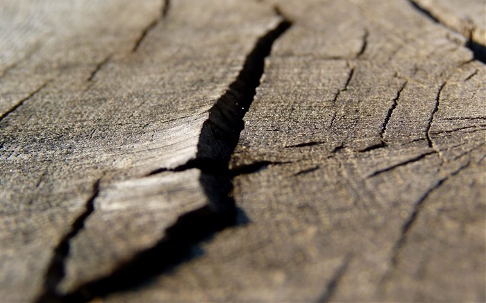 Cracked Wood-High quality wallpaper Views:8200 Date:2014/11/27 8:15:20