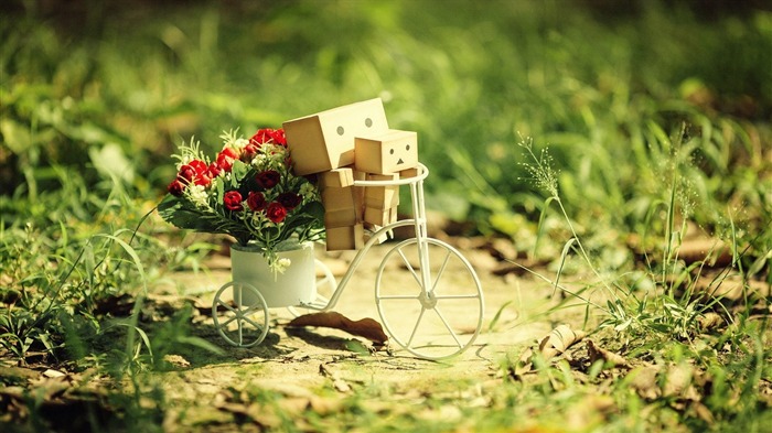 Cute Danbo Small Bicycle-High quality wallpaper Views:8936 Date:2014/11/27 8:23:22