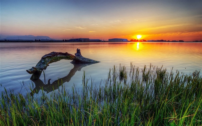 Árvore morta no papel de parede do lago Sunset-Photos HD Visualizações:11171