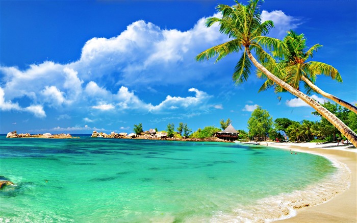 Paradise Tropical Beach-HD Desktop Wallpaper Views:21869 Date:2014/11/2 2:27:35