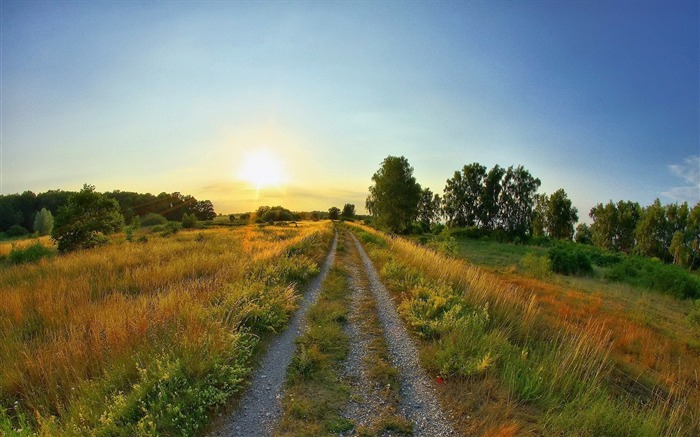 Road Through The Field-Fotos HD Wallpaper Visualizações:8783