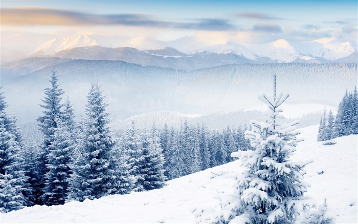 Winter first snow landscape HD wallpaper 03 Views:14590 Date:2014/11/12 7:28:52