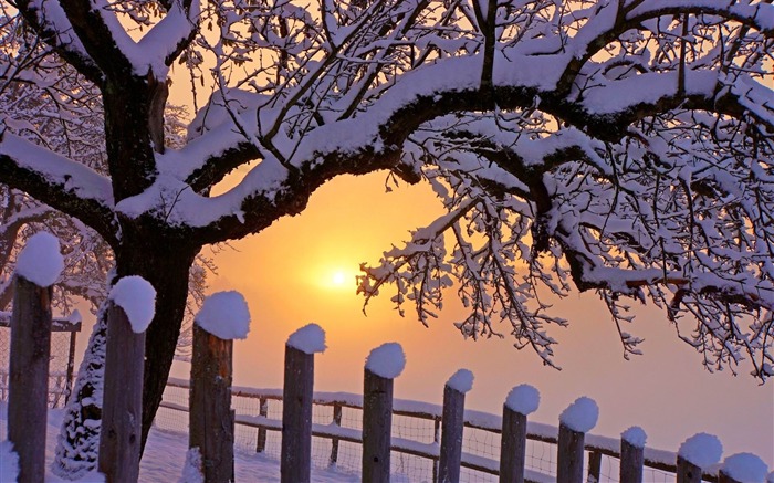 Winter first snow landscape HD wallpaper 06 Views:9822 Date:2014/11/12 7:31:50