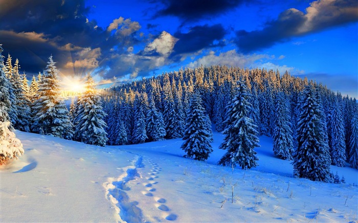 Winter first snow landscape HD wallpaper 10 Views:23903 Date:2014/11/12 7:34:48