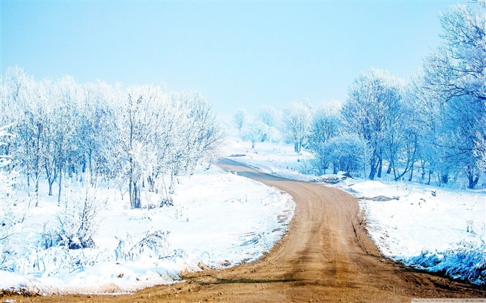 冬季初雪风景高清桌面壁纸 浏览:10252