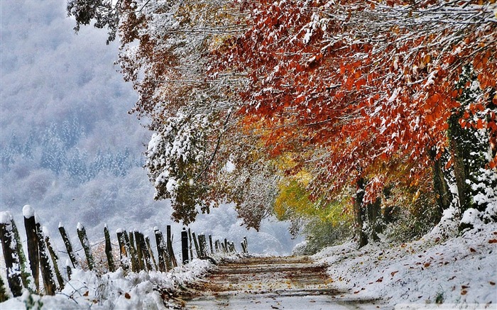 冬季初雪风景高清桌面壁纸 浏览:11484