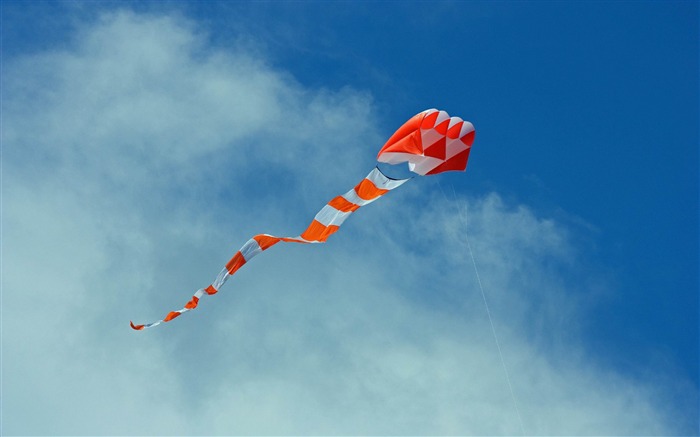 big orange kite-High quality wallpaper Views:9426 Date:2014/11/27 8:14:29