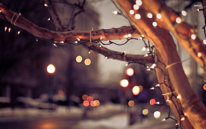 Christmas Lights-Holidays Hd Wallpapers Views:14188 Date:2014/12/9 9:36:02