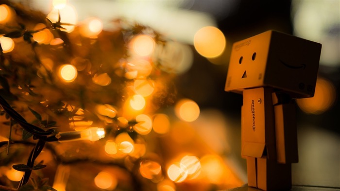 Danbo Christmas Lights-Holidays Hd Wallpaper Views:10906 Date:2014/12/9 9:41:32