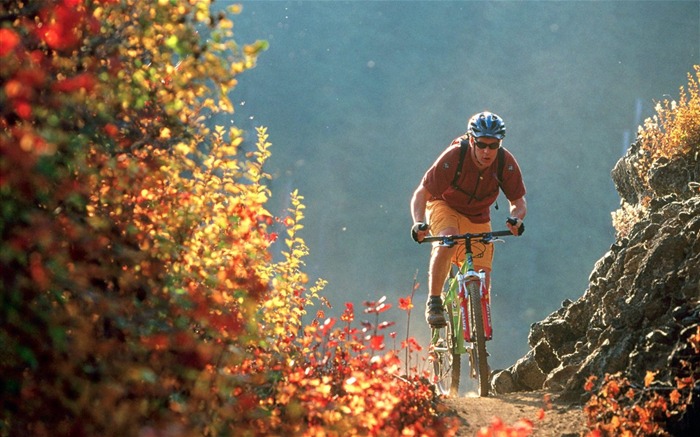 Extreme mountain biking Sports HD Wallpaper 11 Views:8151 Date:2014/12/13 9:00:31