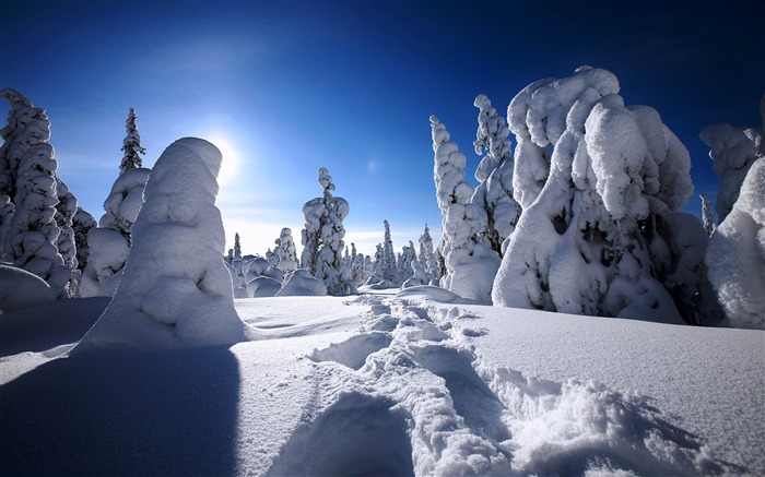 最も美しい冬の雪景色高清デスクトップ壁紙 ブラウズ:11792