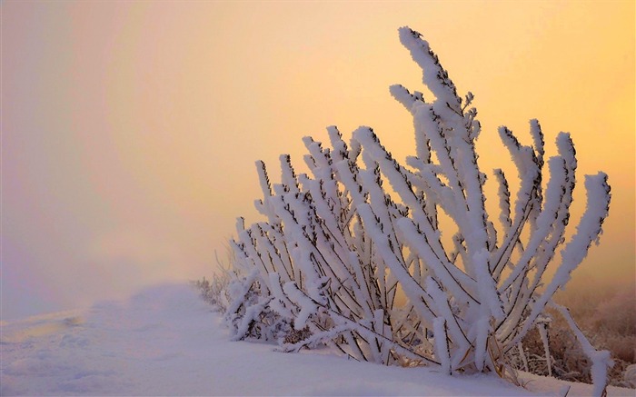 最も美しい冬の雪景色高清デスクトップ壁紙 ブラウズ:9146