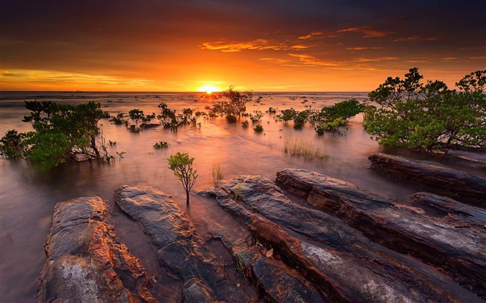 Australia tarde costa-Paisaje HD fondo de pantalla Vistas:14855