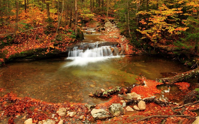 waterfall in motion-Nature wallpaper Views:12414 Date:2014/12/12 23:51:32