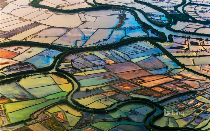 vue aérienne du champ-Bing fond d'écran Vues:9486