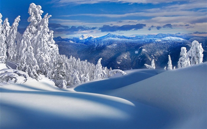 Christmas Mountain-HD Fond d'écran Vues:10523