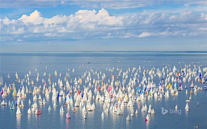 voile-Bing fond d'écran Vues:9240