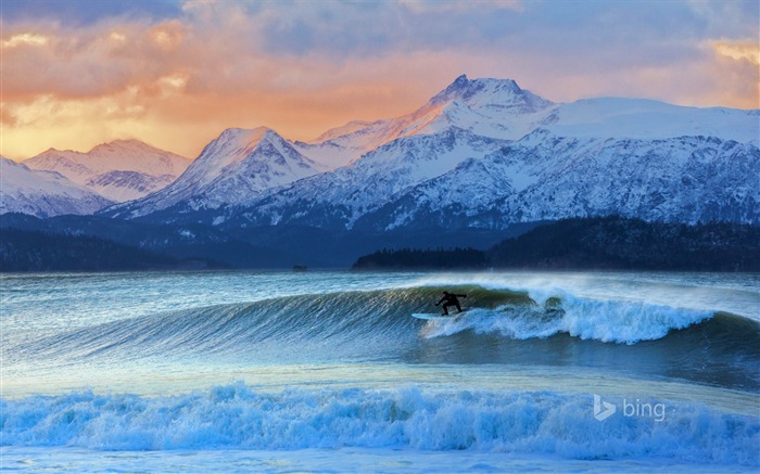 Winter Surfing-Bing theme wallpaper Views:8439 Date:2015/1/8 7:53:59