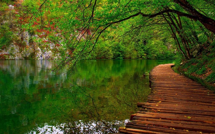 nature river wooden path-HD Widescreen Wallpaper Views:14412 Date:2015/1/10 19:42:56