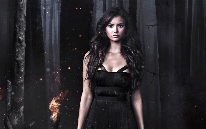 nina dobrev vampire diaries-Movie Papel pintado de alta calidad Vistas:10071