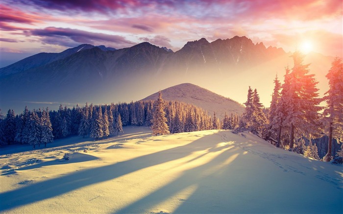 sunset winter shadows-HD Widescreen Wallpaper Views:11024 Date:2015/1/10 19:50:00