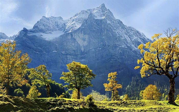 Maple Trees and Mountains-Windows 10 fondo de pantalla HD Vistas:12204