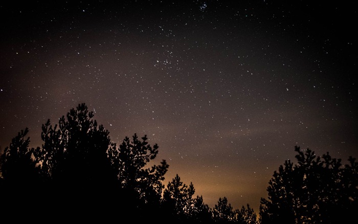 cielo lleno de estrellas-paisajes fondo de pantalla HD Vistas:12275