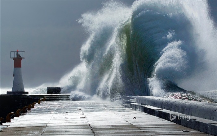 Papel de parede do grande Tide-2015 Bing Visualizações:7965