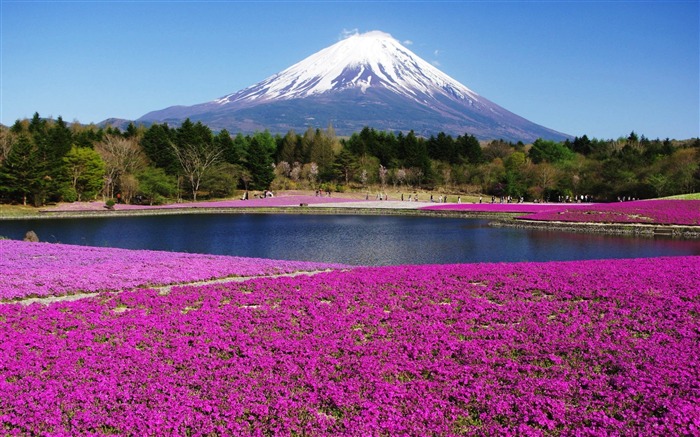 Honshu Island Japan-HD Scenery Wallpaper Views:19304 Date:2015/3/21 22:01:34