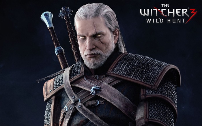 THE WITCHER 3 WILD HUNT Jeu HD Fond d'écran Vues:9984