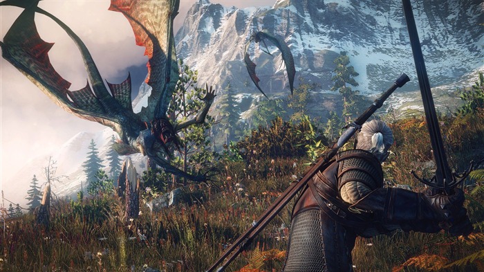 THE WITCHER 3 WILD HUNT Jogo HD Wallpaper 10 Visualizações:13107