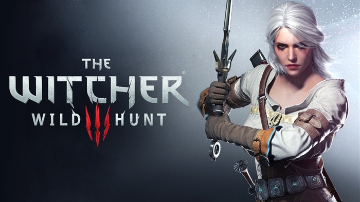 THE WITCHER 3 WILD HUNT Jogo HD Wallpaper 16 Visualizações:12111