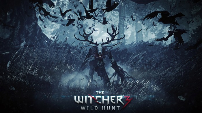 THE WITCHER 3 WILD HUNT Jogo HD Wallpaper 17 Visualizações:23271